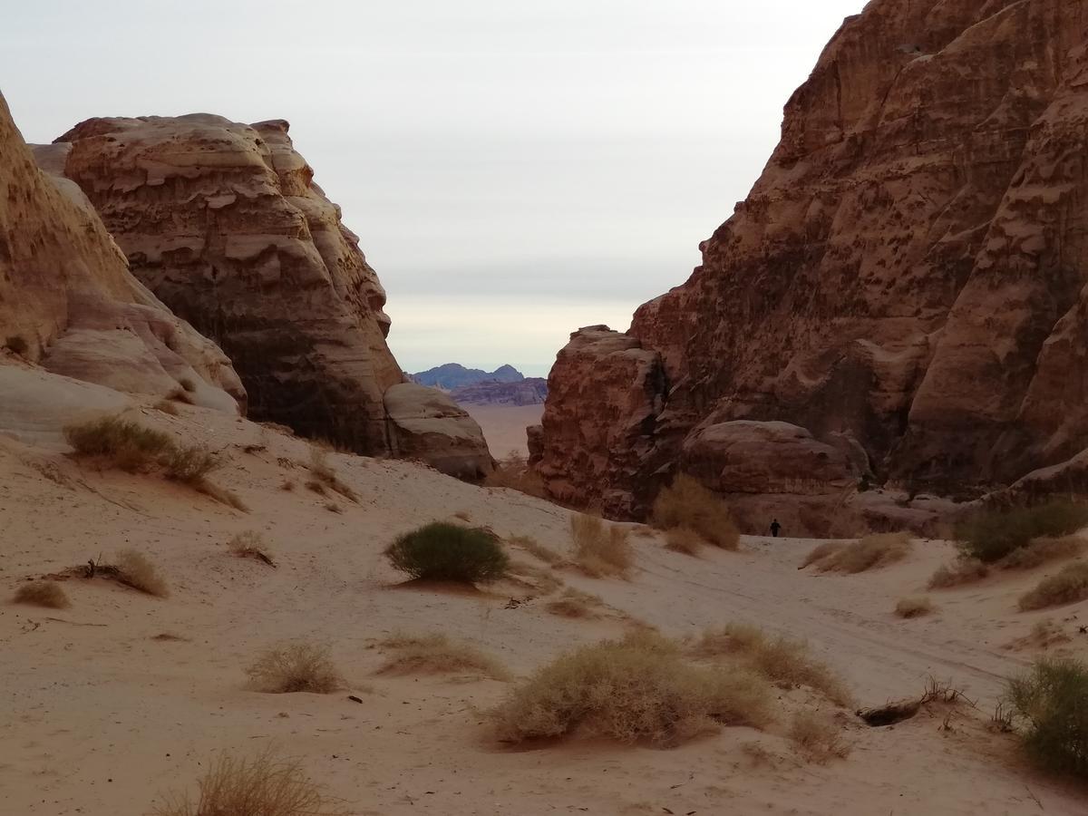 Heart Rum Camp Wadi Rum Bagian luar foto